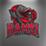 HamsiGames