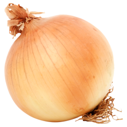 🧅Onion Gang🧅
