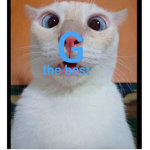 G the best team