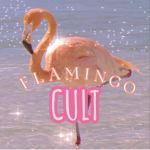 : - Flamingo Cult - :