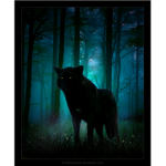Nightwolves Of The Eastern Forest(Nightwolf RP)