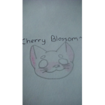 ~Cherry Blossom Cats~