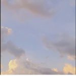 Sun_shine!