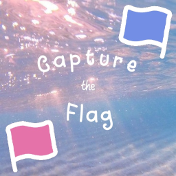 Capture the Flag