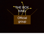 THE BOX KING GROUP