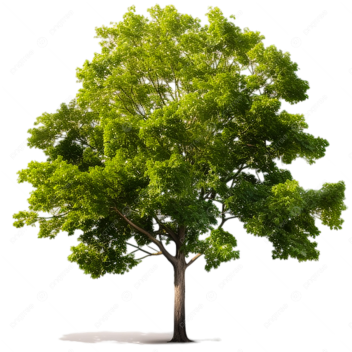 (finished updt)a funny roleplay