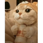 Cutehome