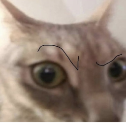 Cat Simulator [BADGES]
