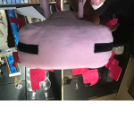 The group of axolotl‘s
