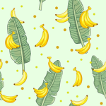 Bananki_Haker_riri