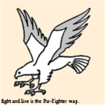 Ro-Fighters