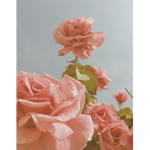 ~Rosey Clothing~