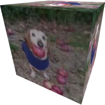 Item Thumbnail