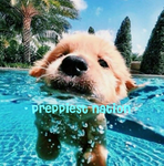 - preppiest nation -