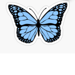 butterfly.vibes