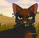 Warrior Cats AmberClan