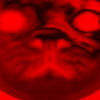 scary cat Roblox decal