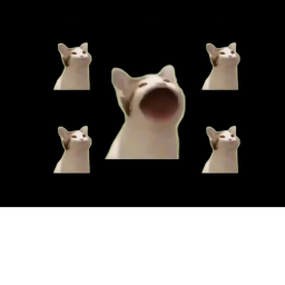 POP CAT FAN OBBY