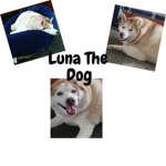 The Luna Fangroup!