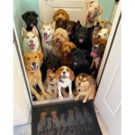 The CheezeWheeze Cool Club