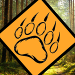 Yellowbear Clothing!