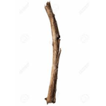 Little Stick SSquad