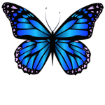 Butterfly Squad :)