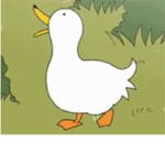 QUACK The Duck Squad QUACK