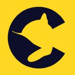 Chessie System, Inc.