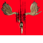 S̴̷̶̴̴̨̢̛̛̭͉͚͇̜̻͙̯̳̰̟̼̪͉͙̰̗͖̳̐̉͛͆͊̄̾́̽͊̃̔͑̽͌̃̚͝͝͠ͅ