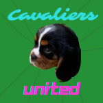 Cavalier’s United