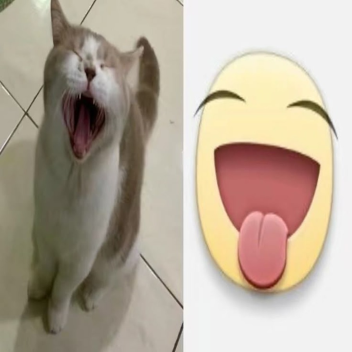 ≽^•⩊•^≼