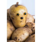 #Spud