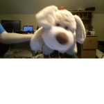 The Doggo army kill the fish