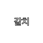 갈치