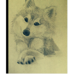 Wolf ################