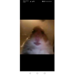 EliasbestTv