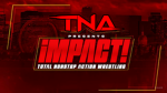 Total Nonstop Action Roleplay