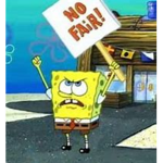 NOOT NOOT's