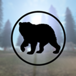The bear squad(T.B.S)