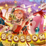 ʚ BL0SSOM ɞ