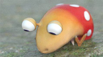 the frogdragon place