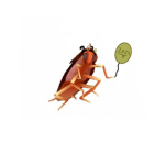 Cockroach Luvers <3