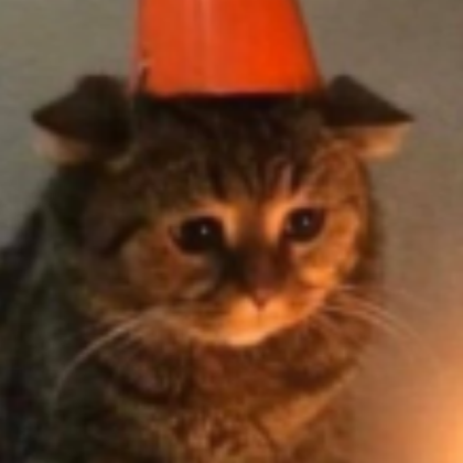 Sad cat :c Roblox decal