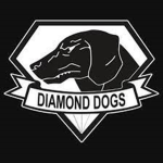 {Intel Team}