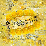 Prabina112233