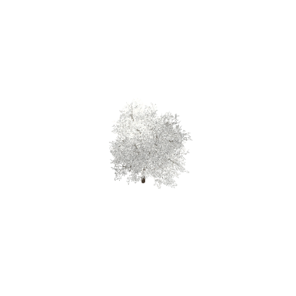 Winter Snow Tree