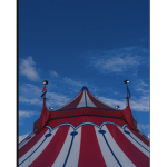 thi circus