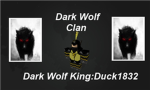 The Dark Wolf Clan
