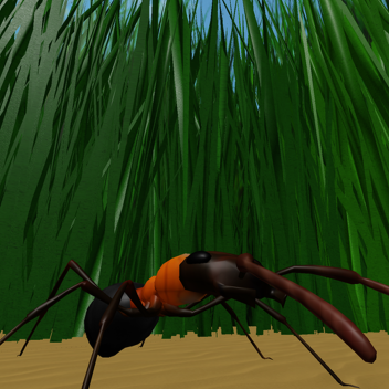 The Garden of Ants (remaster)